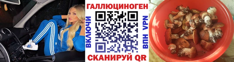 Псилоцибиновые грибы Psilocybine cubensis Алейск