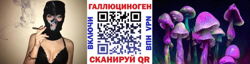 Галлюциногенные грибы Psilocybe  как найти   Алейск 