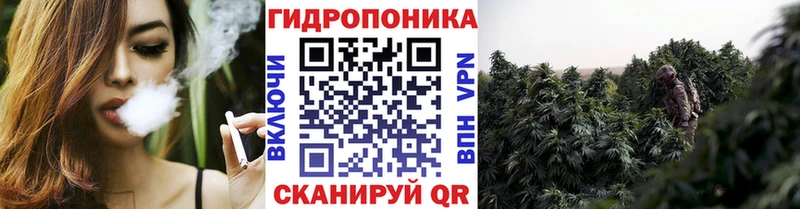 наркота  Алейск  Марихуана SATIVA & INDICA 